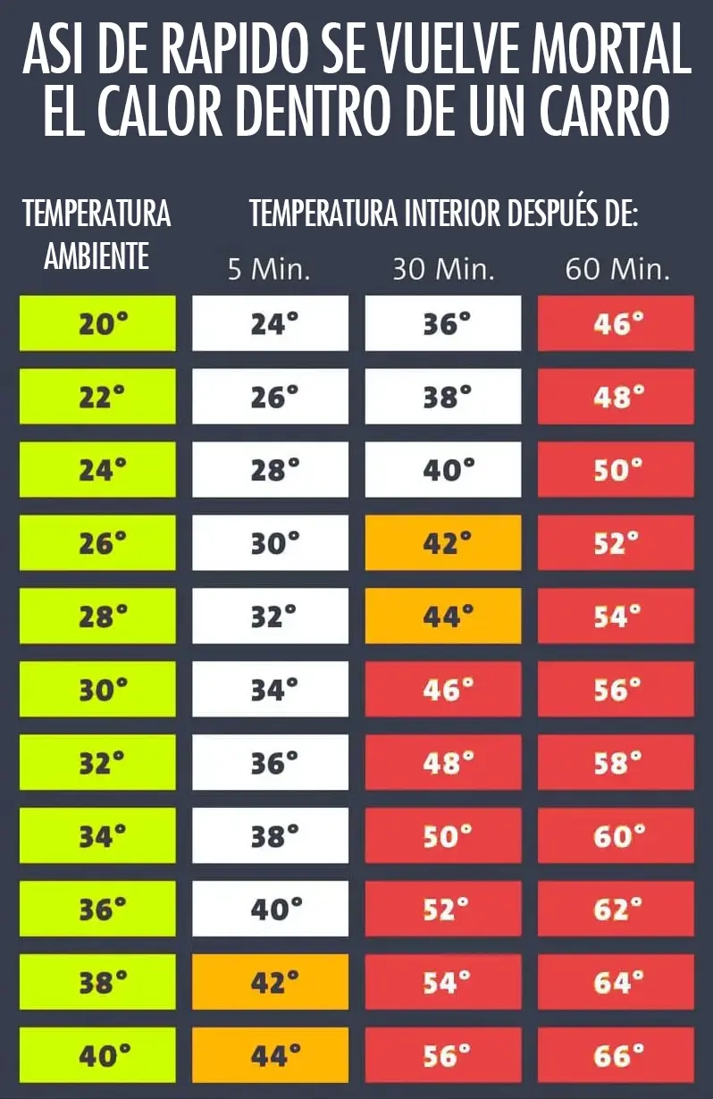 nota-67-sp