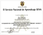 certificaciones-04-evaluador