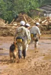 redog04
